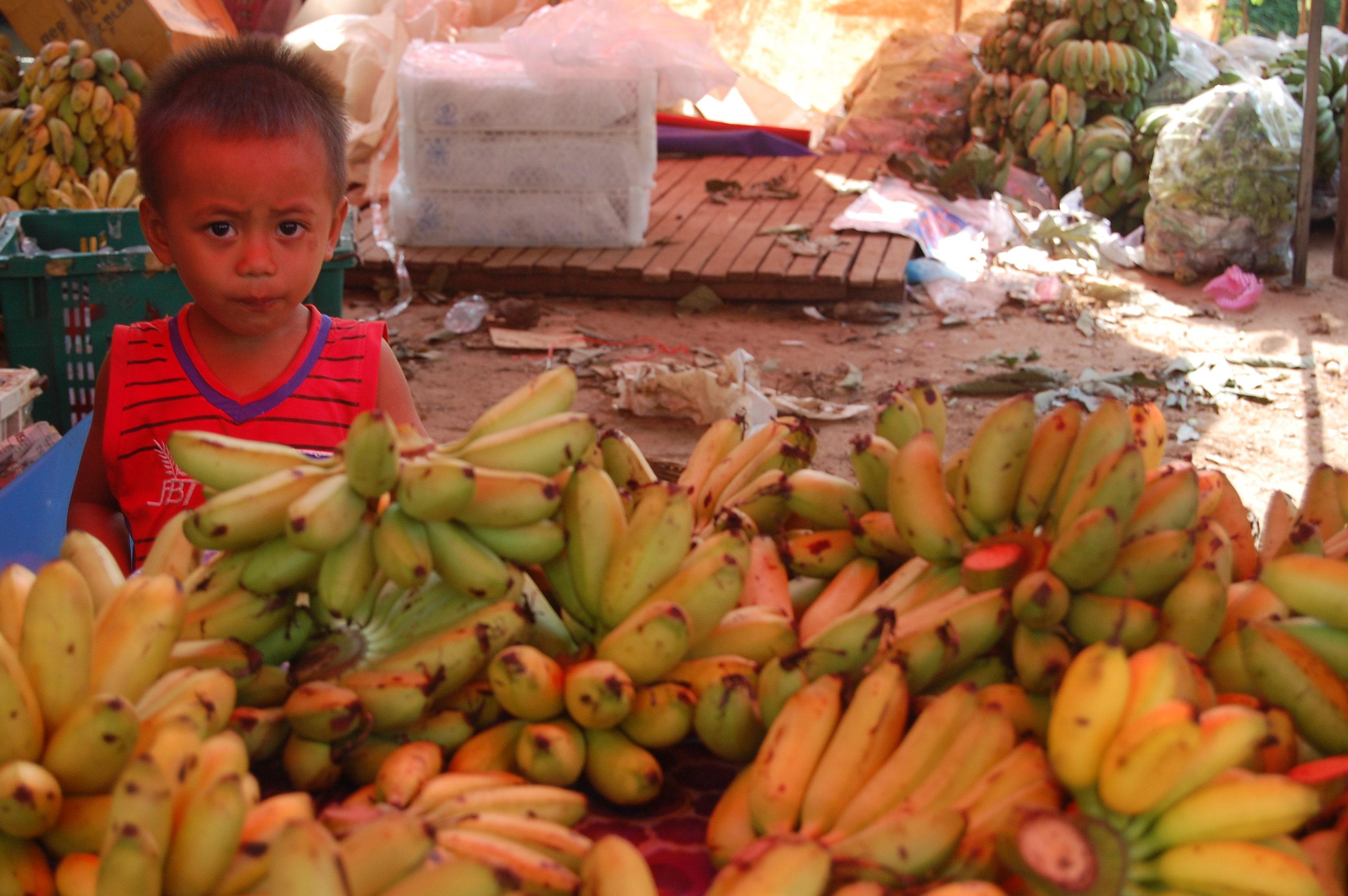 Viaje a Camboya