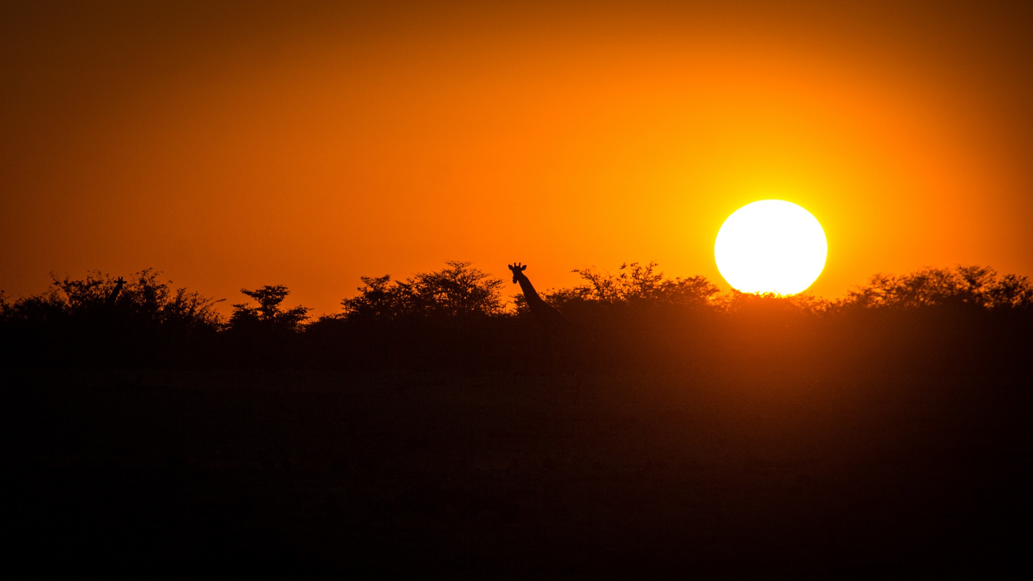 Namibia, desiertos de arena | Mi Mundo Travel Planner