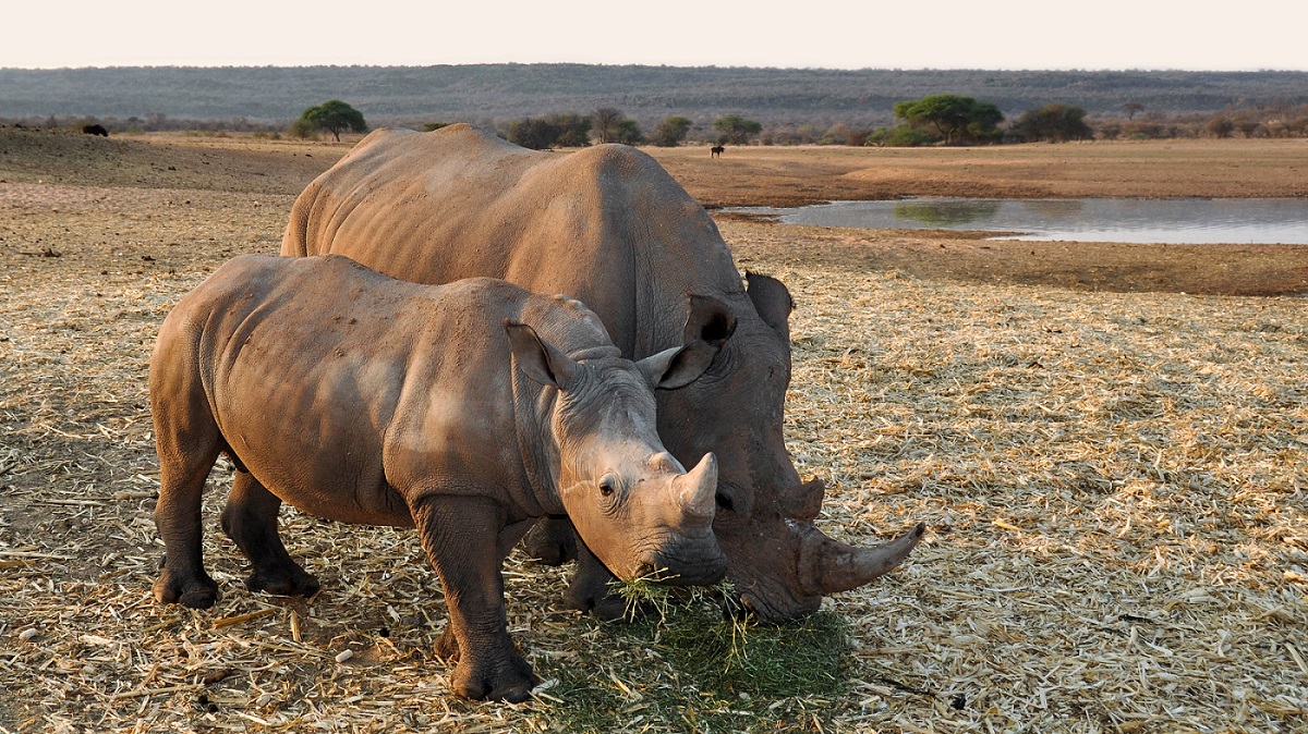 Namibia, desiertos de arena | Mi Mundo Travel Planner