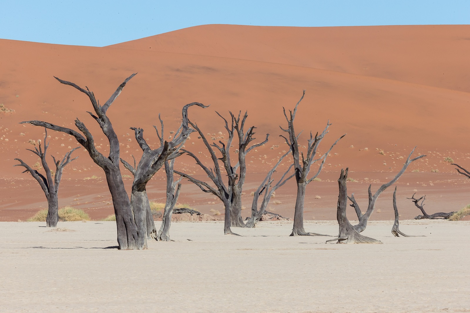 Namibia, desiertos de arena | Mi Mundo Travel Planner
