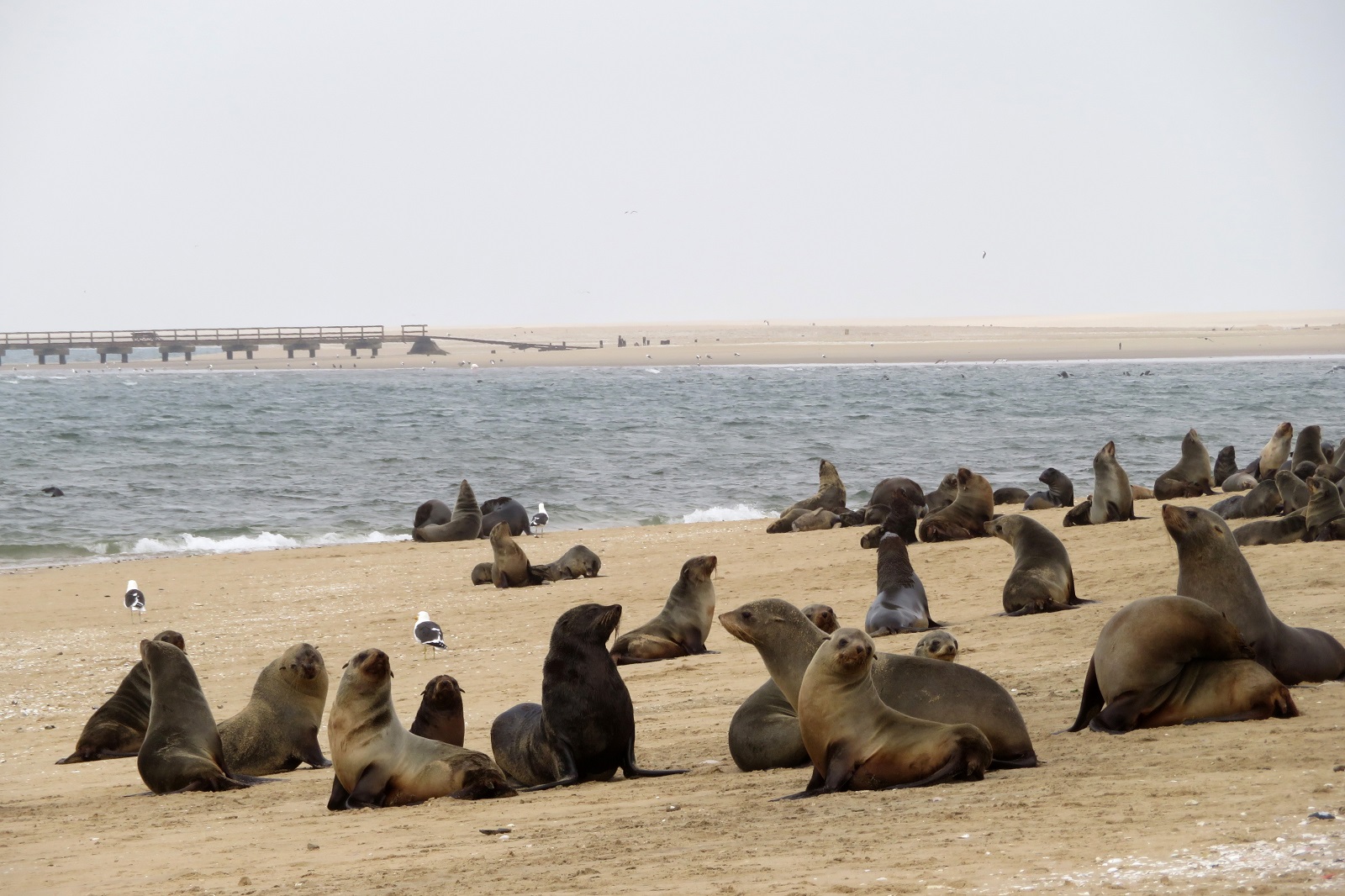 Namibia, desiertos de arena | Mi Mundo Travel Planner