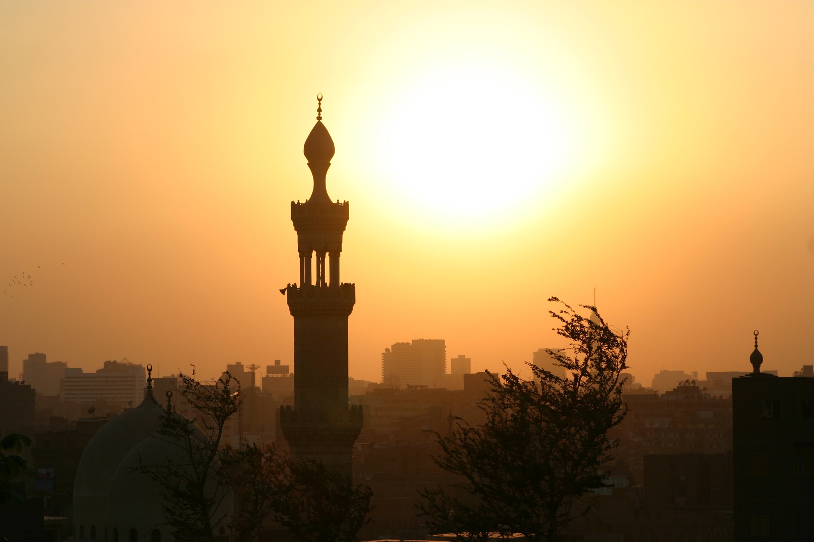 Viaje a Egipto | Mi Mundo Travel Planner