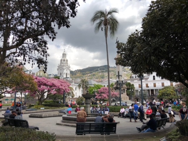 Ecuador, estado puro | Mi Mundo Travel Planner