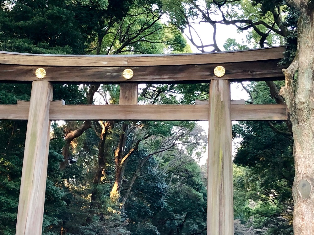 Japón, rincones escondidos | Mi Mundo Travel Planner