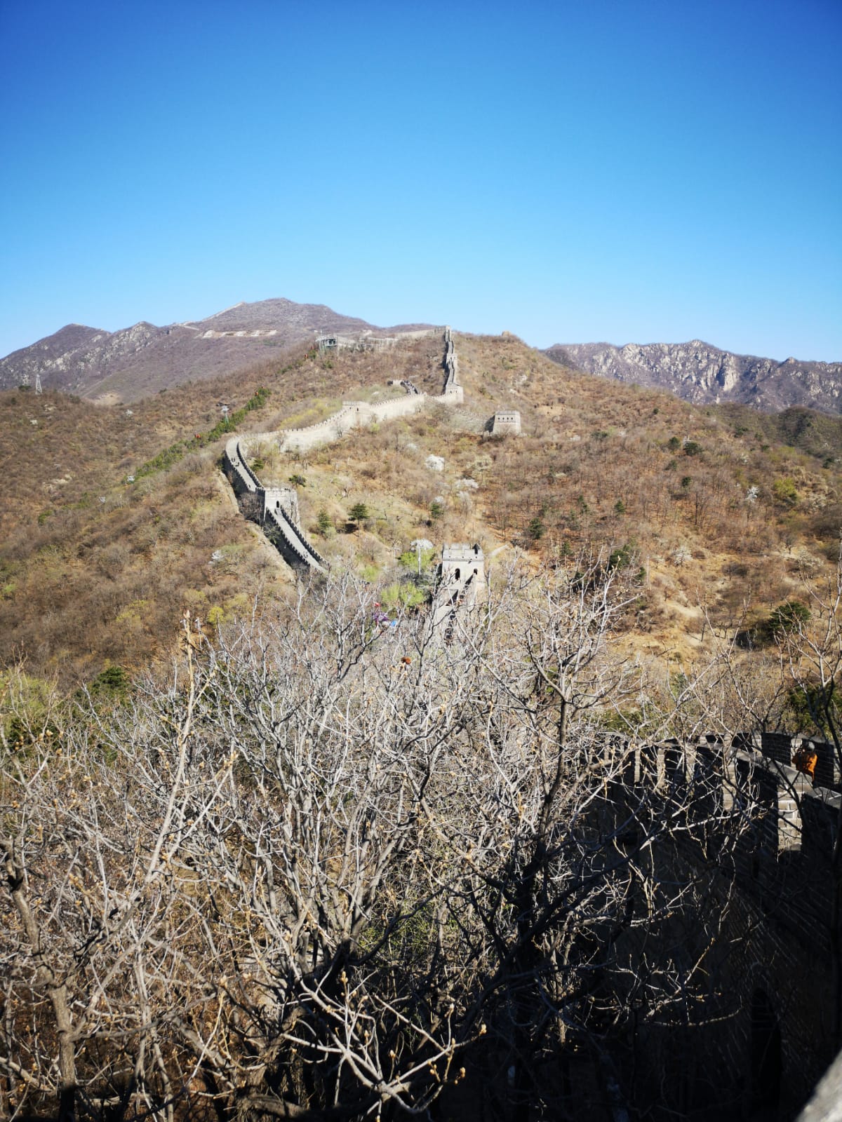Viaje a China | Mi Mundo Travel Planner