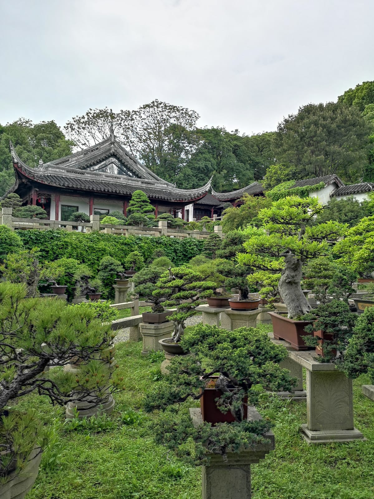 Viaje a China | Mi Mundo Travel Planner