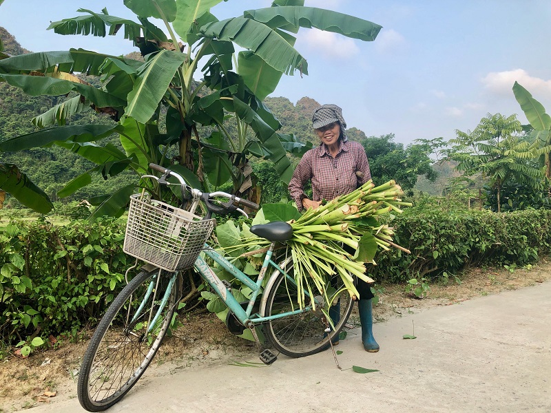 Viaje a Vietnam | Mi Mundo Travel Planner