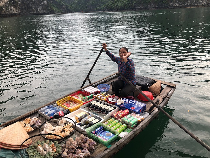 Viaje a Vietnam | Mi Mundo Travel Planner