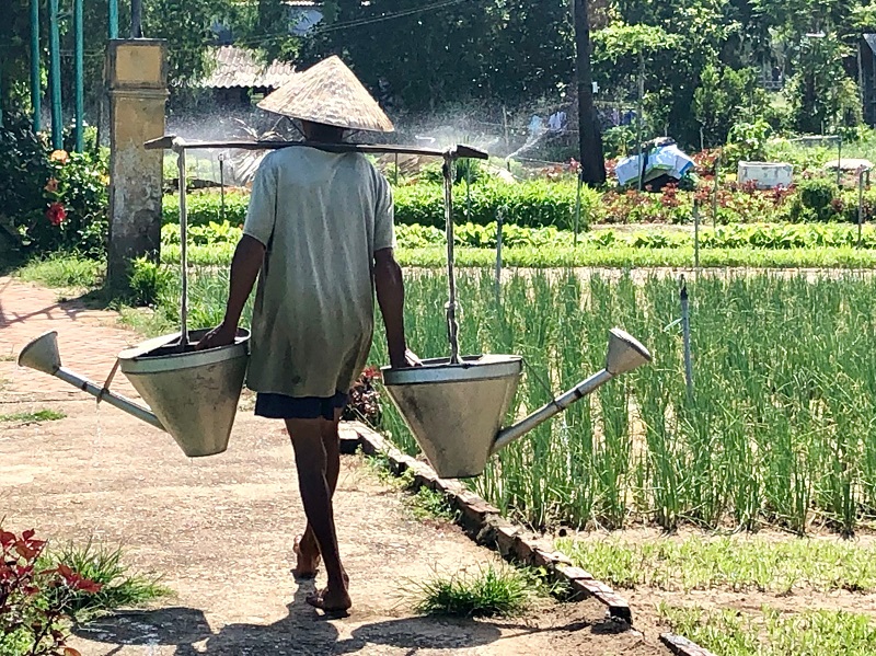 Viaje a Vietnam | Mi Mundo Travel Planner
