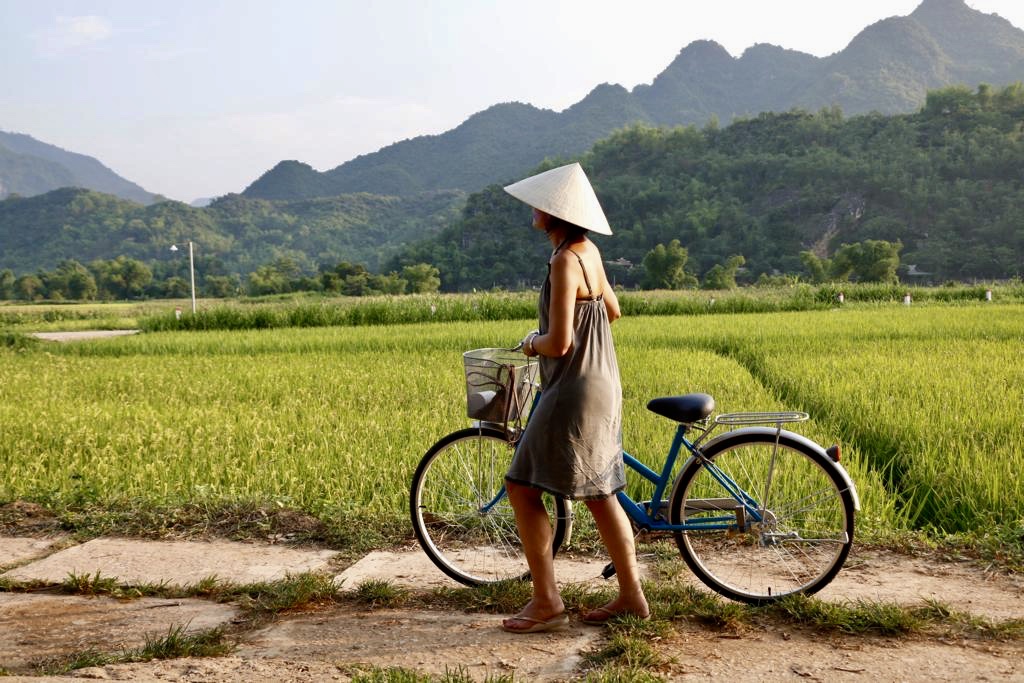 Viaje a Vietnam | Mi Mundo Travel Planner