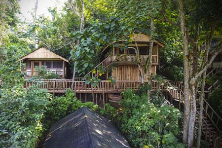 Uganda, espalda plateada | Mi Mundo Travel Planner