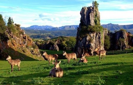 Viaje a Cantabria | Mi Mundo Travel Planner