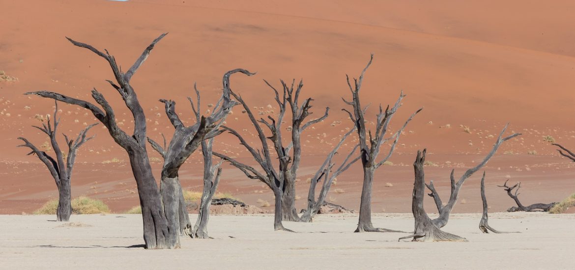 Namibia, desiertos de arena | Mi Mundo Travel Planner