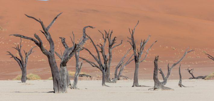 Namibia, desiertos de arena | Mi Mundo Travel Planner