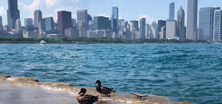 Chicago, la ciudad del vientos | Mi Mundo Travel Planner