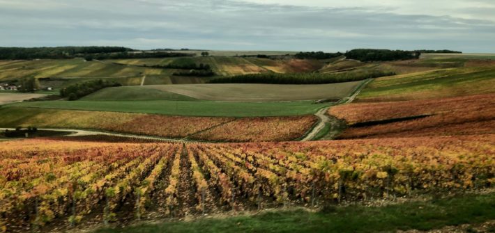 Region de Champagne | Mi Mundo Travel Planner