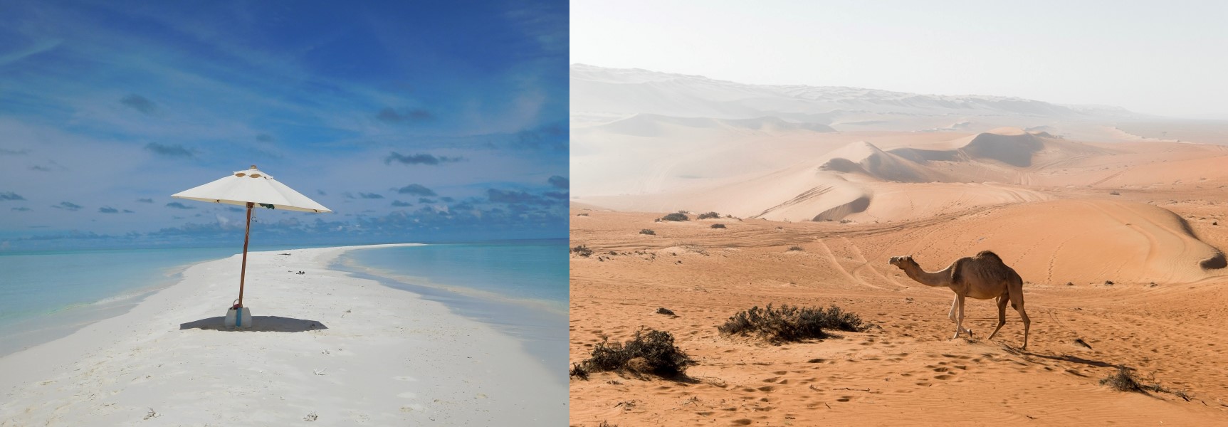 Viajar | Mi Mundo Travel Planner