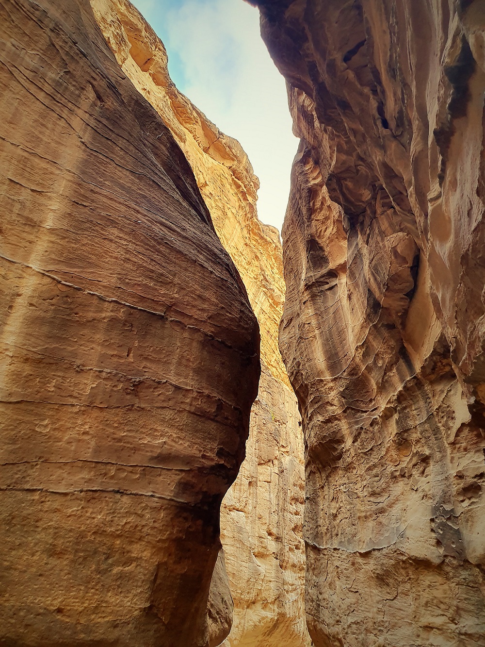 Viaje a Petra | Viaje a medida a Jordania | Mi Mundo Travel Planner