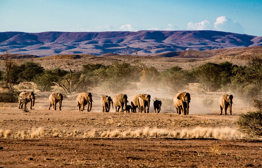Viaje exclusivo a Namibia | Mi Mundo Travel Planner