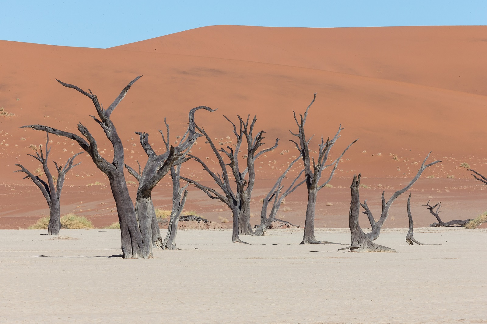 Viaje exclusivo a Namibia | Mi Mundo Travel Planner