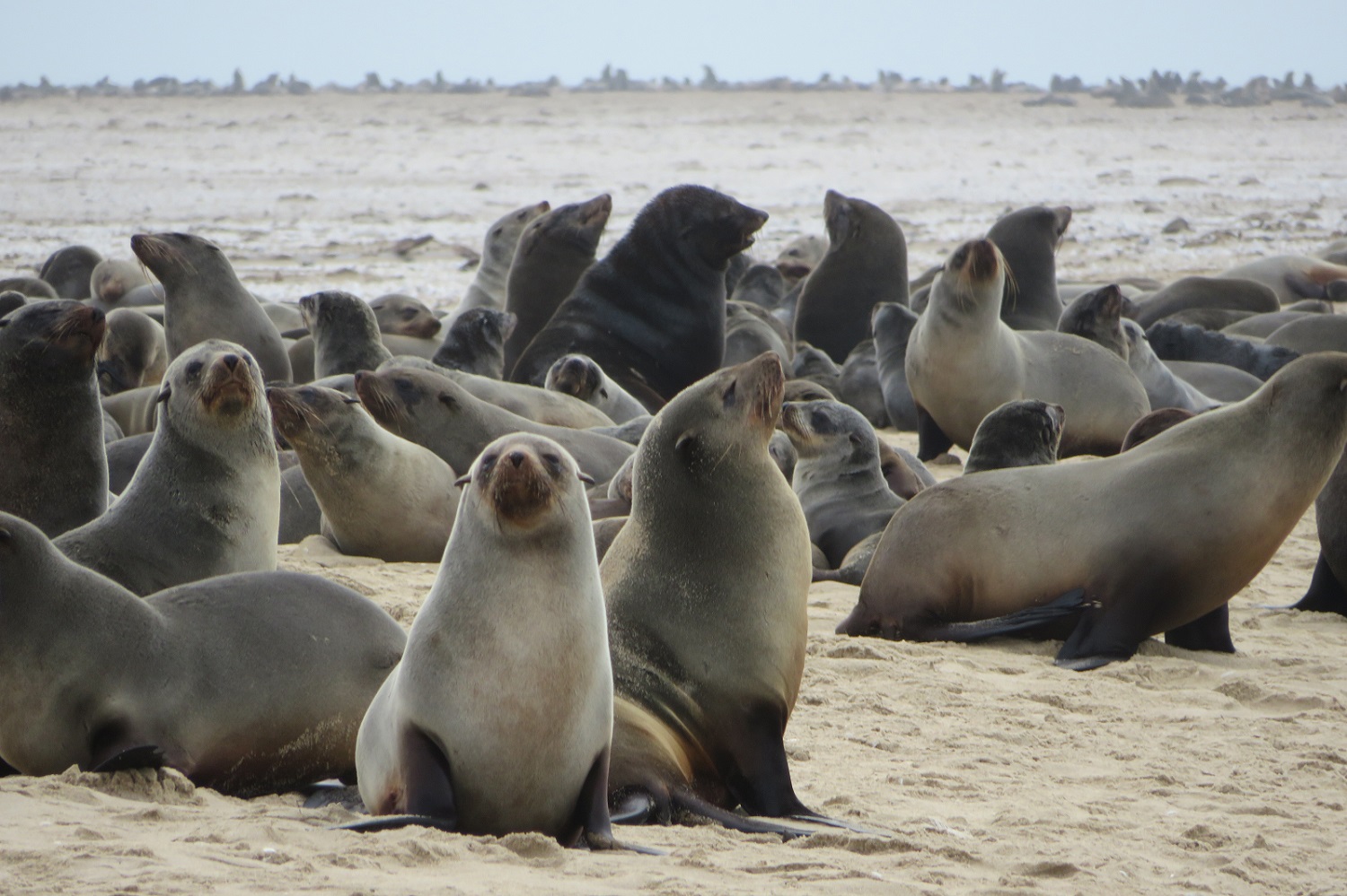 Viaje exclusivo a Namibia | Mi Mundo Travel Planner
