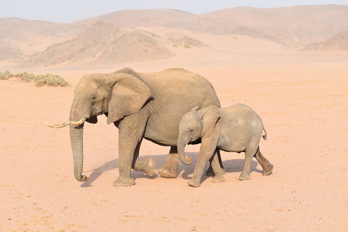 Viaje exclusivo a Namibia | Mi Mundo Travel Planner