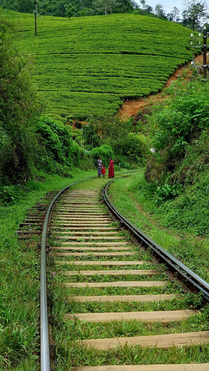 Viaje a medida a Sri Lanka | Mi Mundo Travel Planner