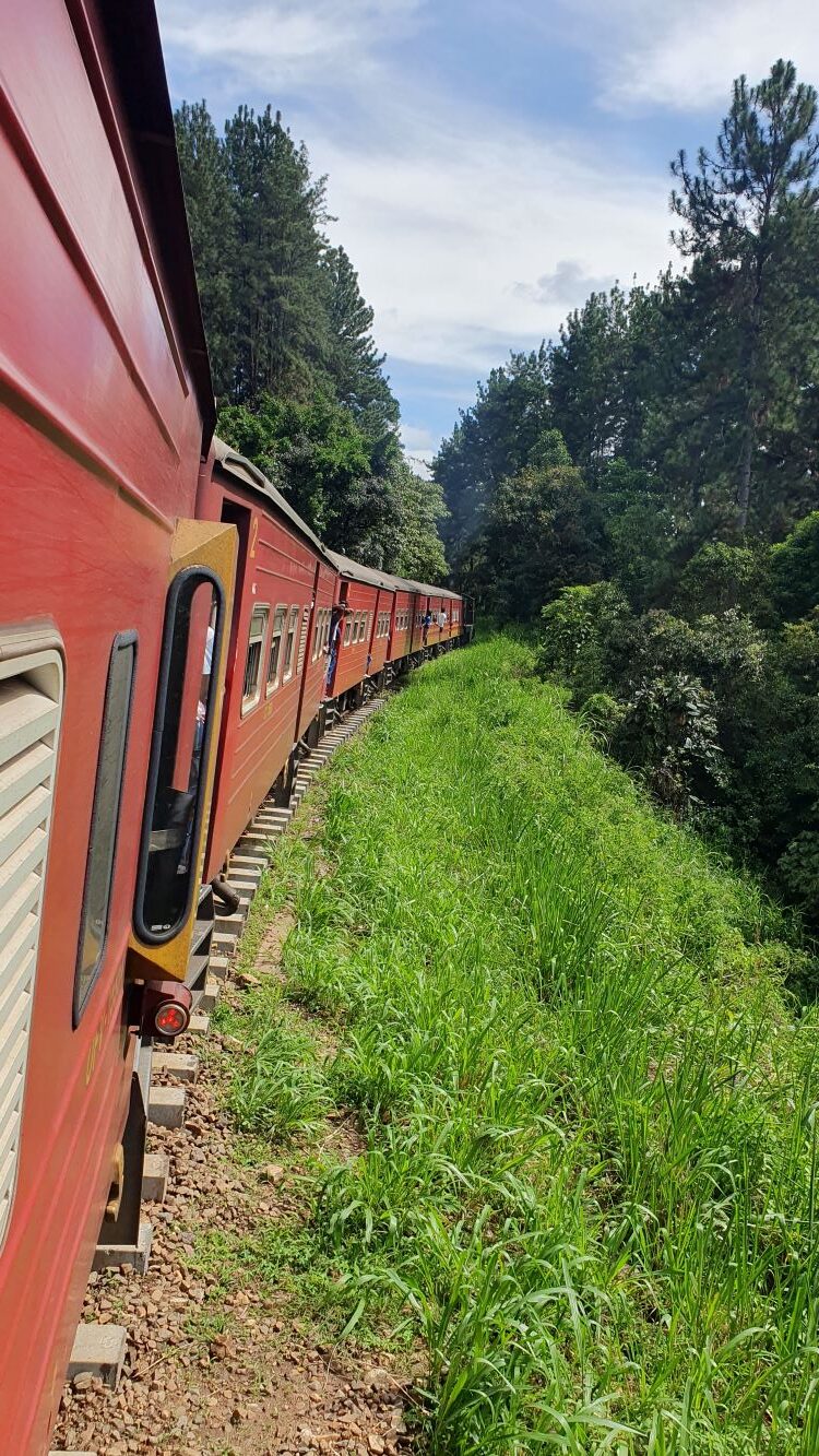 Viaje a medida a Sri Lanka | Mi Mundo Travel Planner