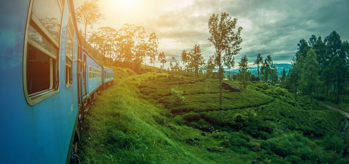 Viaje a medida a Sri Lanka | Mi Mundo Travel Planner