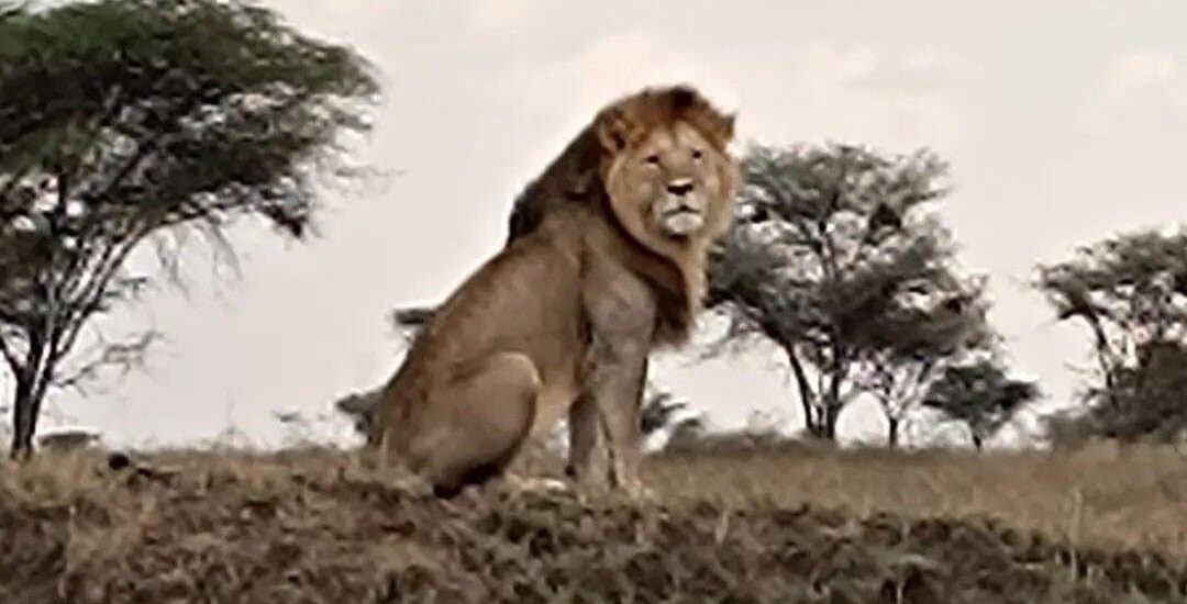 VIiaje a Tanzania | Viaje de lujo a Tanzania | Mi Mundo Travel Planner