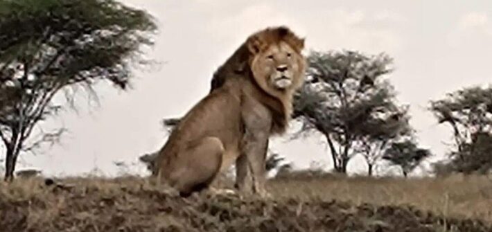 VIiaje a Tanzania | Viaje de lujo a Tanzania | Mi Mundo Travel Planner